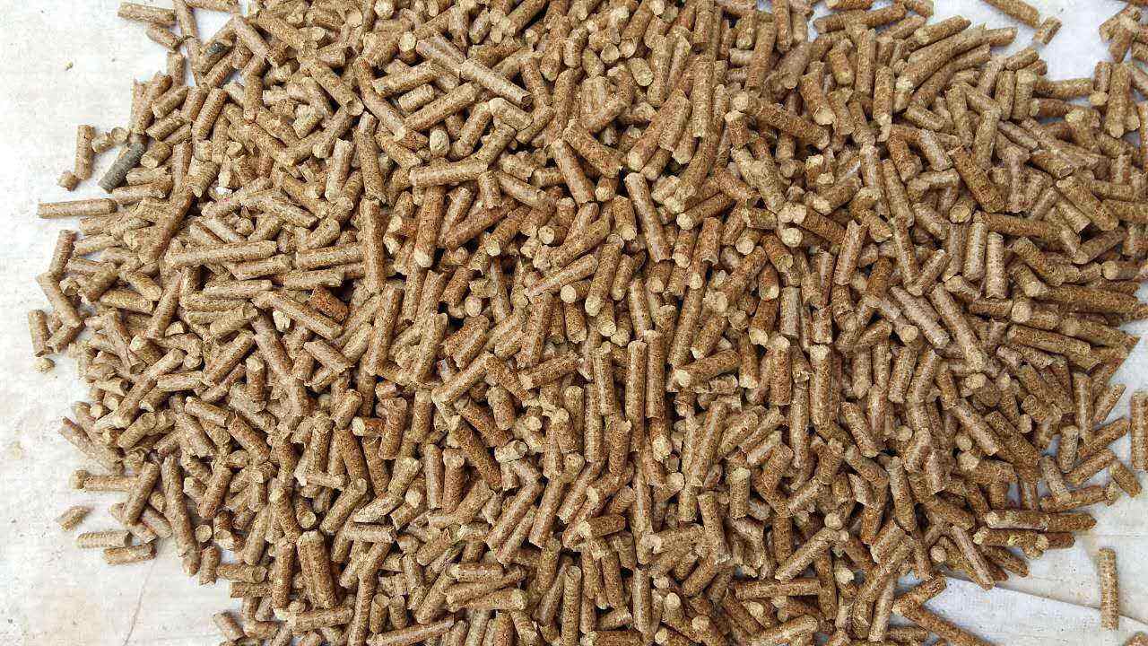 生物質(zhì)導(dǎo)熱油爐的原理跟應(yīng)用你知道多少？